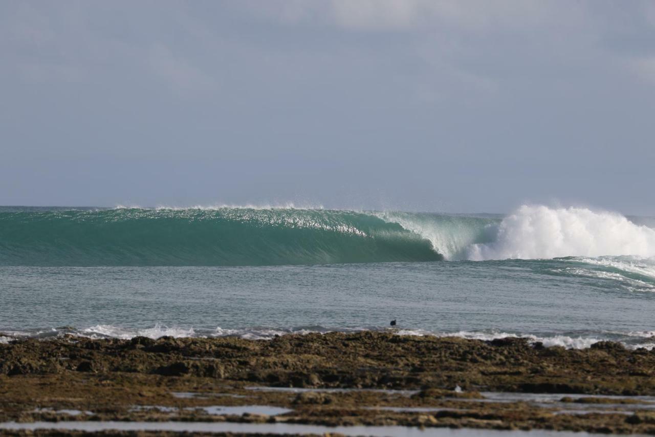 Отель Oseda Nias Surf House Hilibotodane Экстерьер фото